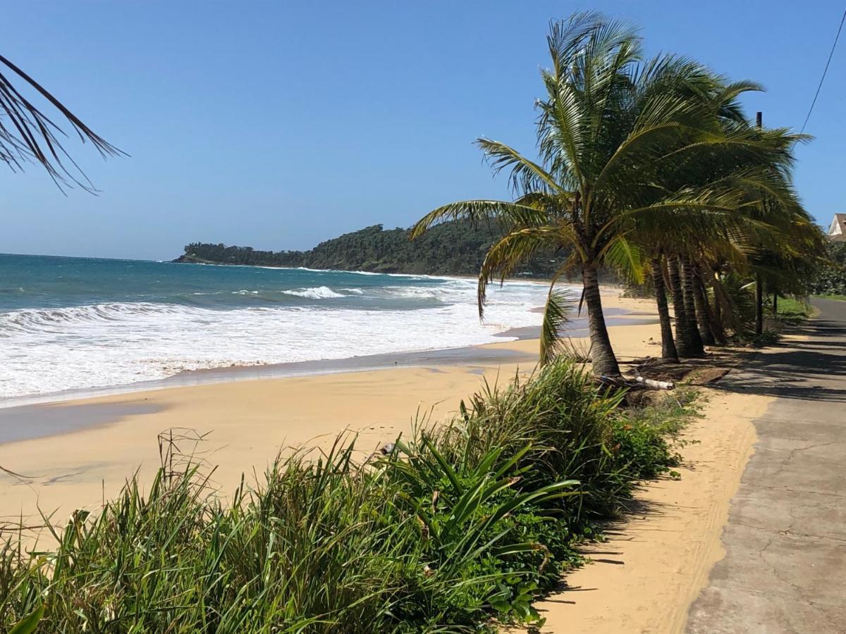 Treehouse Apartment At La Lodge At Long Bay South End Ngoại thất bức ảnh
