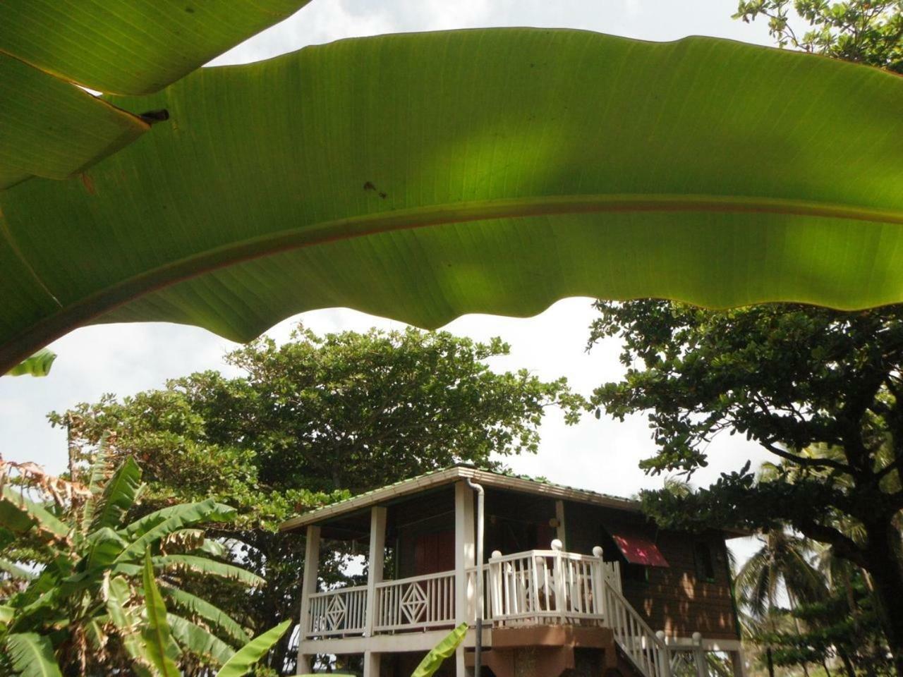 Treehouse Apartment At La Lodge At Long Bay South End Ngoại thất bức ảnh